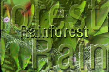 rainforest in Photo-Paint